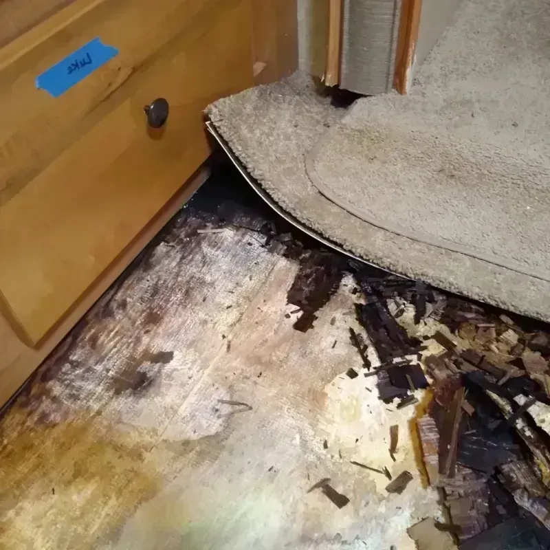 Wood Floor Water Damage in Leesburg, GA